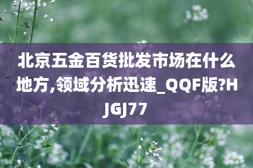 北京五金百货批发市场在什么地方,领域分析迅速_QQF版?HJGJ77