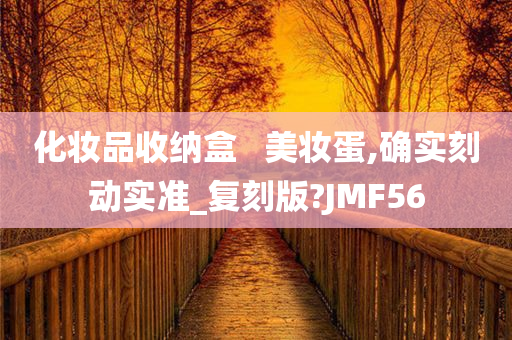 化妆品收纳盒   美妆蛋,确实刻动实准_复刻版?JMF56