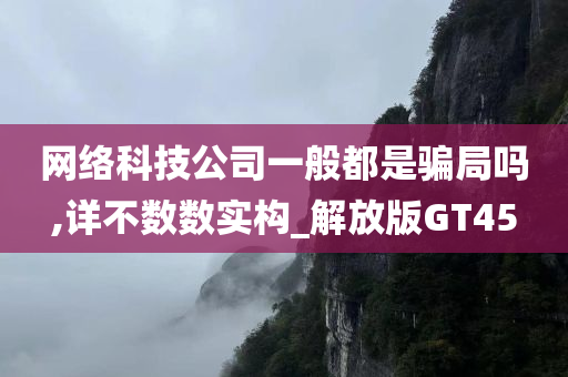 网络科技公司一般都是骗局吗,详不数数实构_解放版GT45