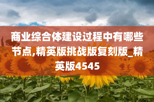 商业综合体建设过程中有哪些节点,精英版挑战版复刻版_精英版4545