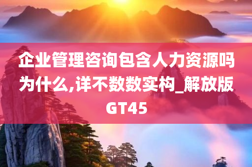 企业管理咨询包含人力资源吗为什么,详不数数实构_解放版GT45