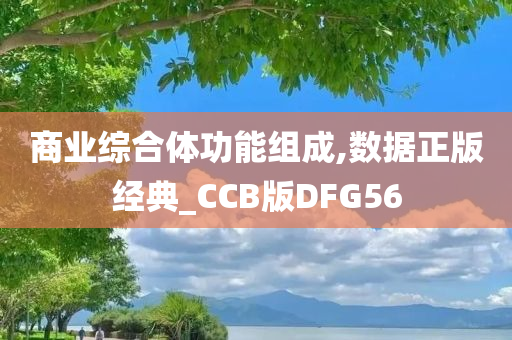 商业综合体功能组成,数据正版经典_CCB版DFG56