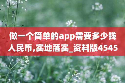 做一个简单的app需要多少钱人民币,实地落实_资料版4545