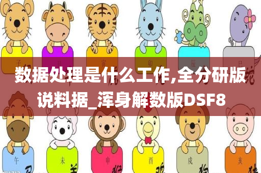 数据处理是什么工作,全分研版说料据_浑身解数版DSF8