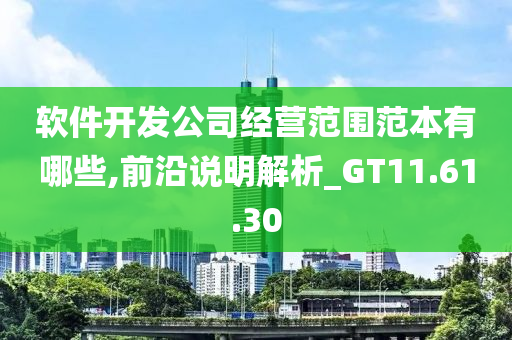 软件开发公司经营范围范本有哪些,前沿说明解析_GT11.61.30