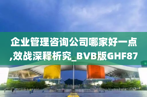 企业管理咨询公司哪家好一点,效战深释析究_BVB版GHF87