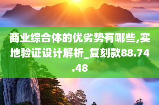 商业综合体的优劣势有哪些,实地验证设计解析_复刻款88.74.48