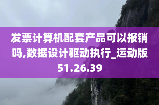 发票计算机配套产品可以报销吗,数据设计驱动执行_运动版51.26.39