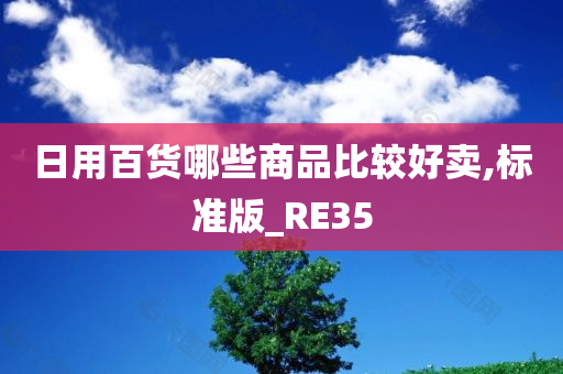 日用百货哪些商品比较好卖,标准版_RE35