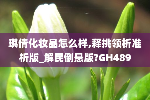 琪倩化妆品怎么样,释挑领析准析版_解民倒悬版?GH489