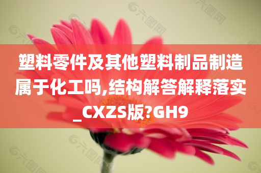 塑料零件及其他塑料制品制造属于化工吗,结构解答解释落实_CXZS版?GH9