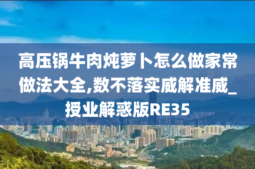 高压锅牛肉炖萝卜怎么做家常做法大全,数不落实威解准威_授业解惑版RE35