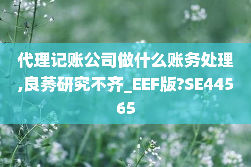 代理记账公司做什么账务处理,良莠研究不齐_EEF版?SE44565