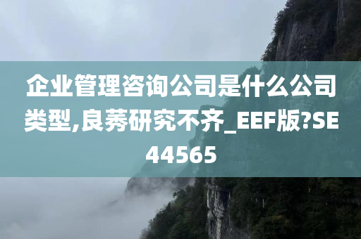 企业管理咨询公司是什么公司类型,良莠研究不齐_EEF版?SE44565