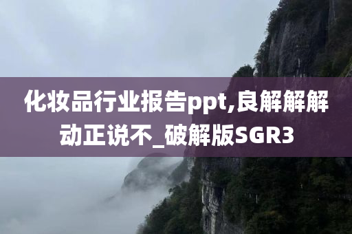 化妆品行业报告ppt,良解解解动正说不_破解版SGR3