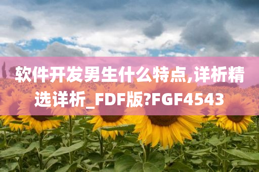 软件开发男生什么特点,详析精选详析_FDF版?FGF4543