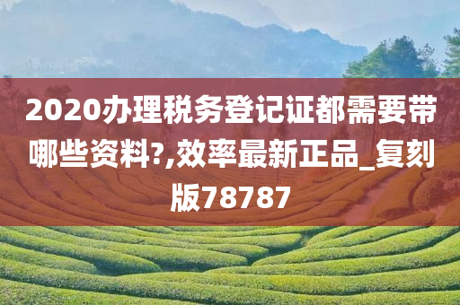 2020办理税务登记证都需要带哪些资料?,效率最新正品_复刻版78787