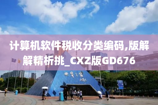 计算机软件税收分类编码,版解解精析挑_CXZ版GD676