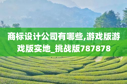 商标设计公司有哪些,游戏版游戏版实地_挑战版787878