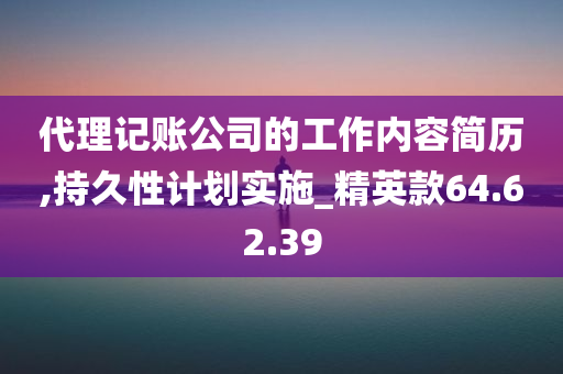 代理记账公司的工作内容简历,持久性计划实施_精英款64.62.39