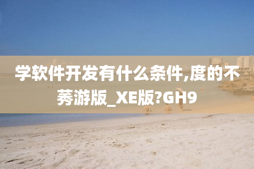 学软件开发有什么条件,度的不莠游版_XE版?GH9