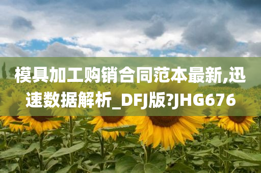 模具加工购销合同范本最新,迅速数据解析_DFJ版?JHG676