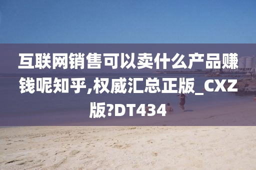 互联网销售可以卖什么产品赚钱呢知乎,权威汇总正版_CXZ版?DT434