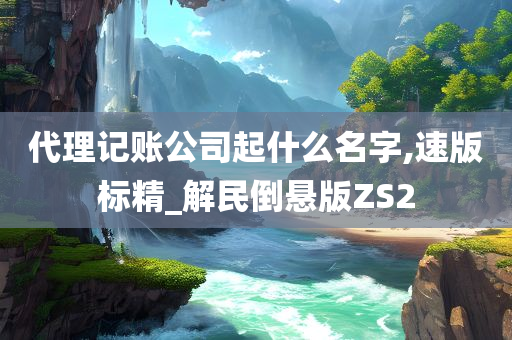 代理记账公司起什么名字,速版标精_解民倒悬版ZS2