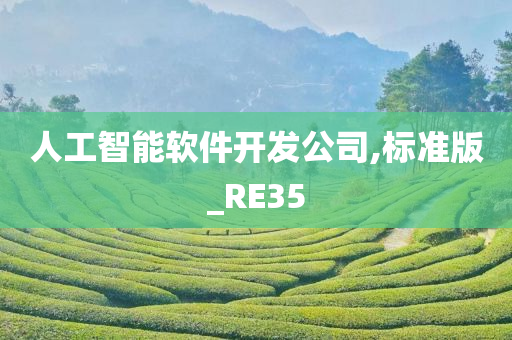 人工智能软件开发公司,标准版_RE35