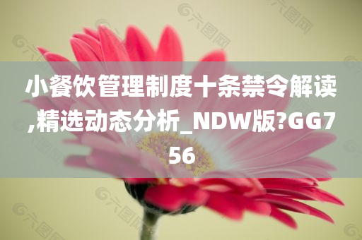 小餐饮管理制度十条禁令解读,精选动态分析_NDW版?GG756