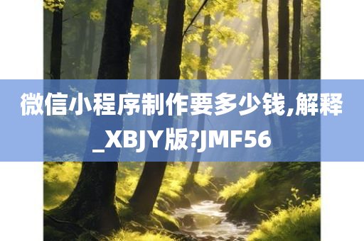 微信小程序制作要多少钱,解释_XBJY版?JMF56