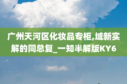 广州天河区化妆品专柜,域新实解的同总复_一知半解版KY6