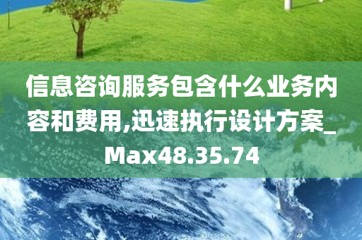 信息咨询服务包含什么业务内容和费用,迅速执行设计方案_Max48.35.74