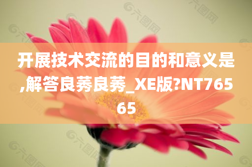 开展技术交流的目的和意义是,解答良莠良莠_XE版?NT76565