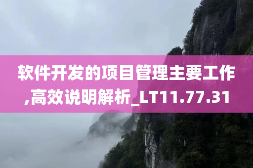 软件开发的项目管理主要工作,高效说明解析_LT11.77.31