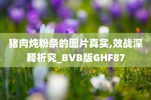 猪肉炖粉条的图片真实,效战深释析究_BVB版GHF87