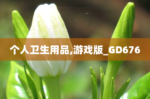 个人卫生用品,游戏版_GD676