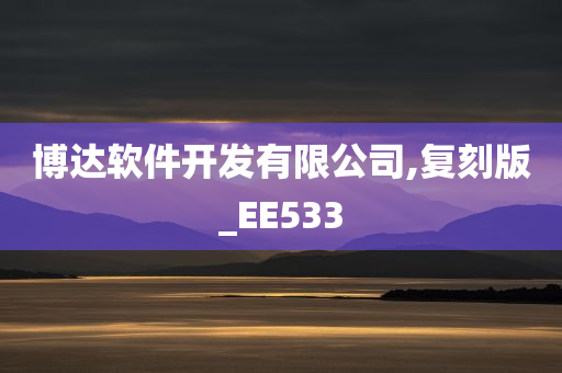 博达软件开发有限公司,复刻版_EE533