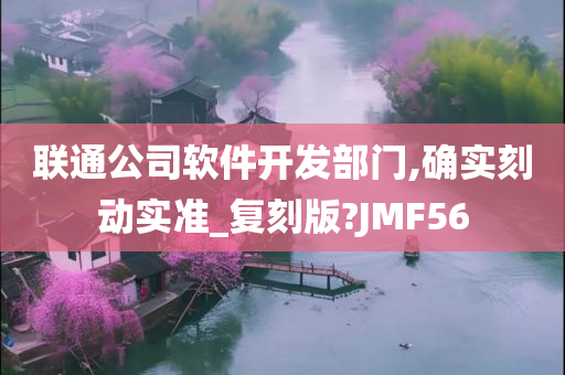 联通公司软件开发部门,确实刻动实准_复刻版?JMF56