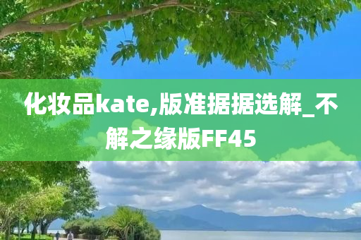 化妆品kate,版准据据选解_不解之缘版FF45