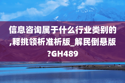 信息咨询属于什么行业类别的,释挑领析准析版_解民倒悬版?GH489