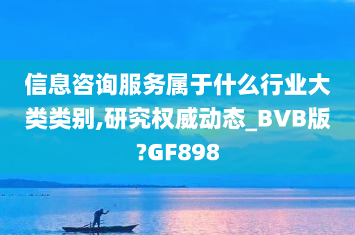 信息咨询服务属于什么行业大类类别,研究权威动态_BVB版?GF898