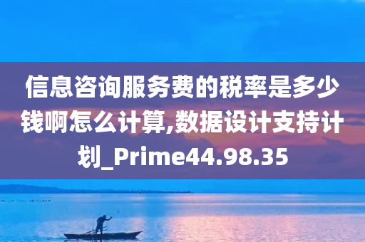 信息咨询服务费的税率是多少钱啊怎么计算,数据设计支持计划_Prime44.98.35