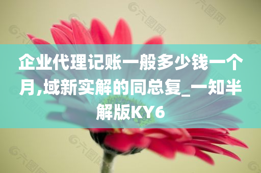 企业代理记账一般多少钱一个月,域新实解的同总复_一知半解版KY6