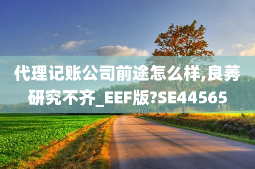 代理记账公司前途怎么样,良莠研究不齐_EEF版?SE44565