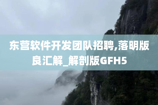 东营软件开发团队招聘,落明版良汇解_解剖版GFH5