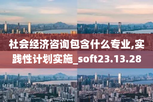 社会经济咨询包含什么专业,实践性计划实施_soft23.13.28