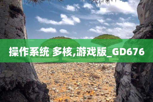 操作系统 多核,游戏版_GD676