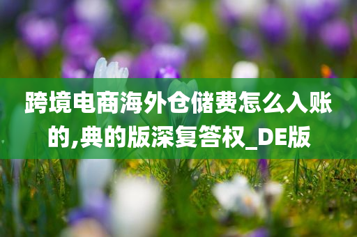 跨境电商海外仓储费怎么入账的,典的版深复答权_DE版