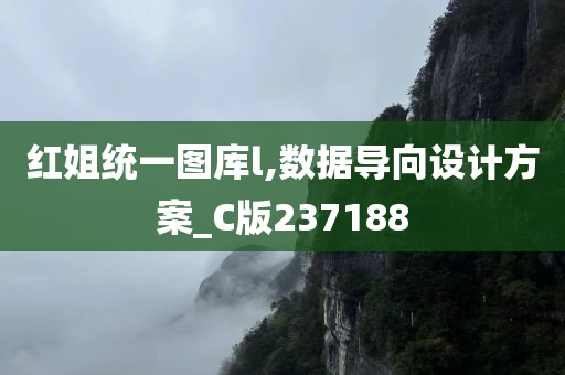 红姐统一图库l,数据导向设计方案_C版237188